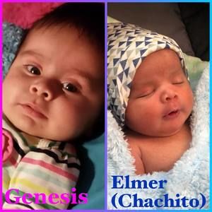 Meet your Posher, Ana